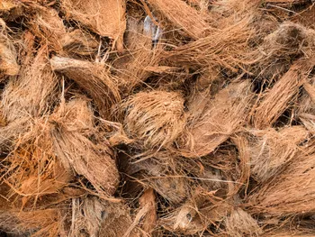 Fibre de coco