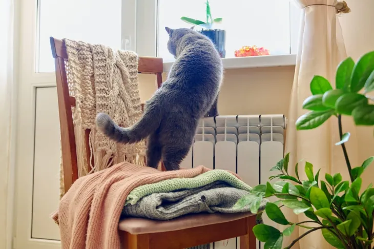 chat à côté d'un radiateur chaud