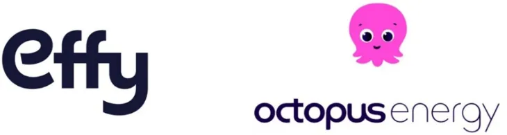 Effy Octopus