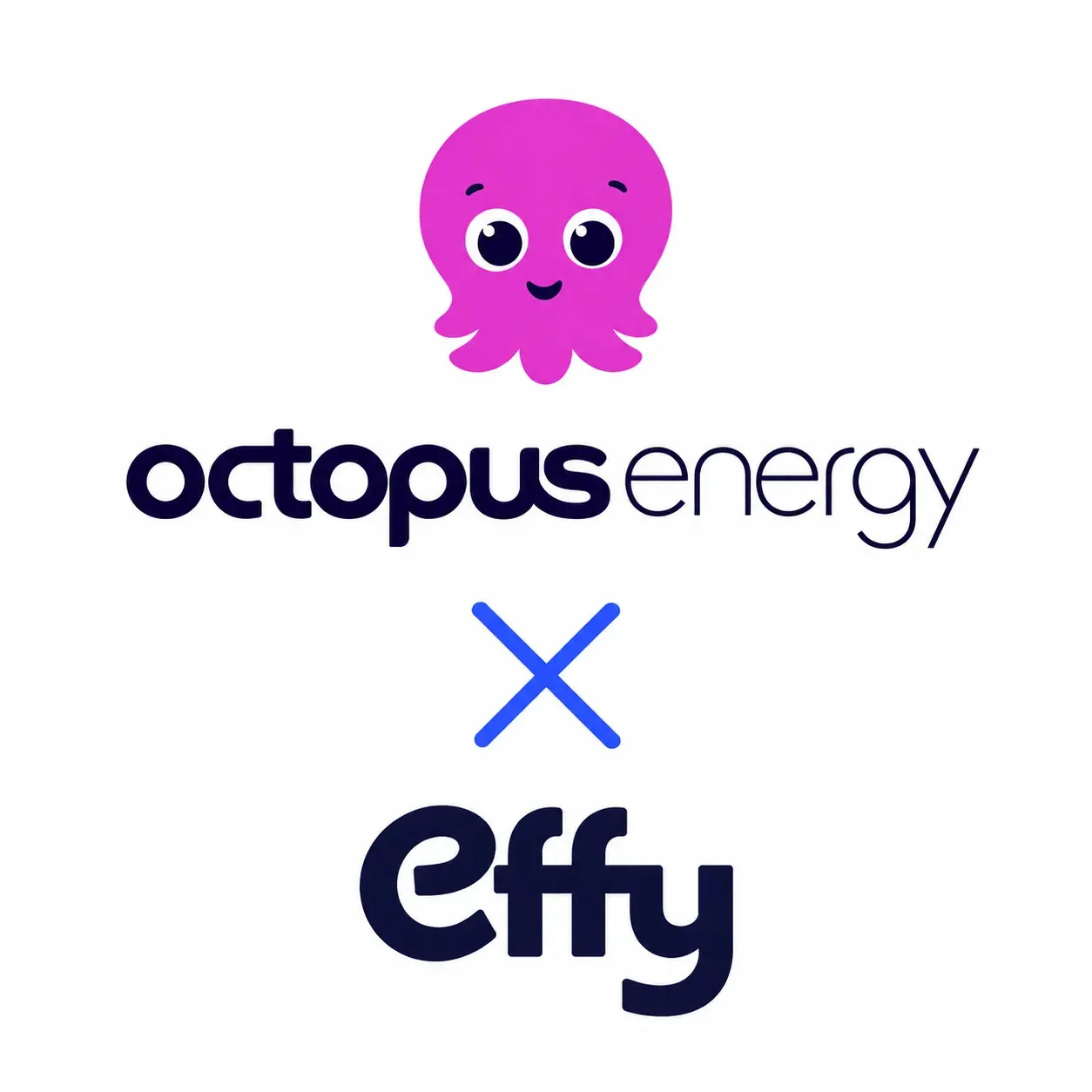 offre intégrée octopus energy x effy